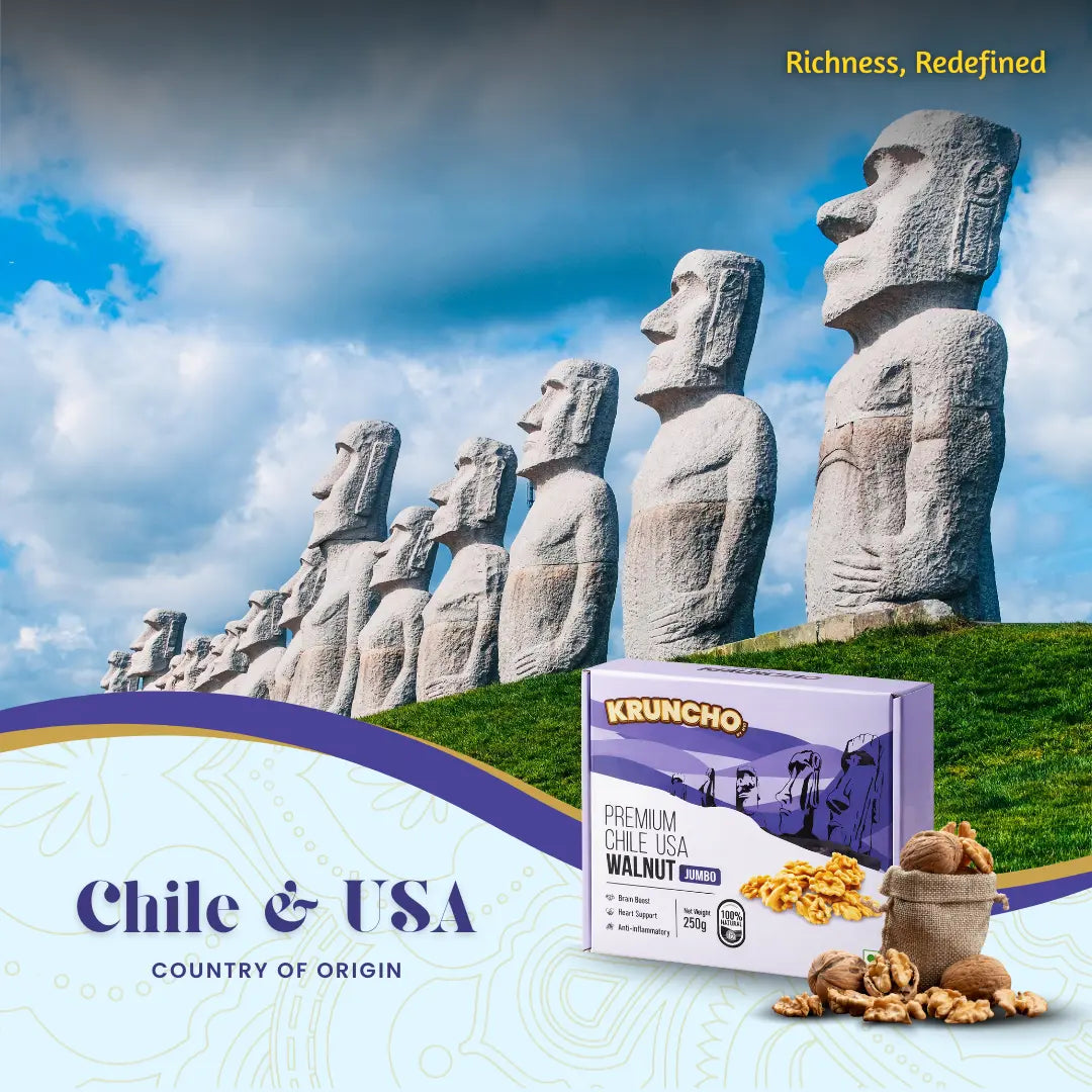 premium jumbo walnut dry fruits